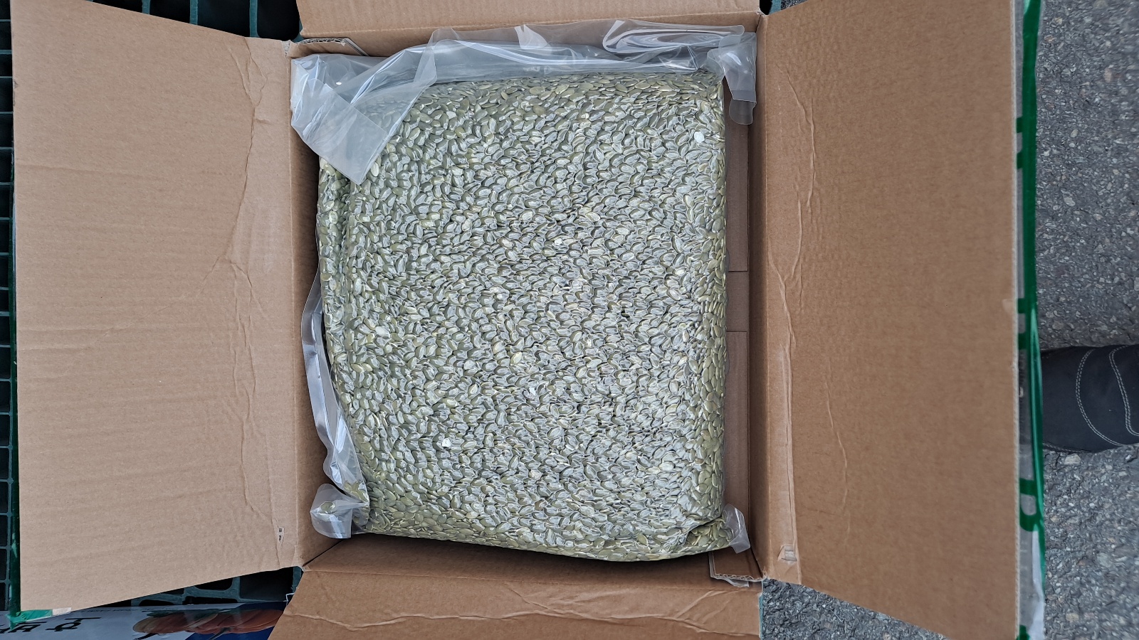 선광컨테이너터미널 입회